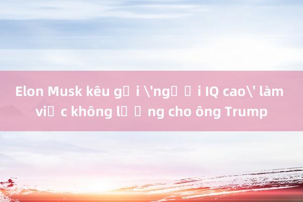 Elon Musk kêu gọi 'người IQ cao' làm việc không lương cho ông Trump