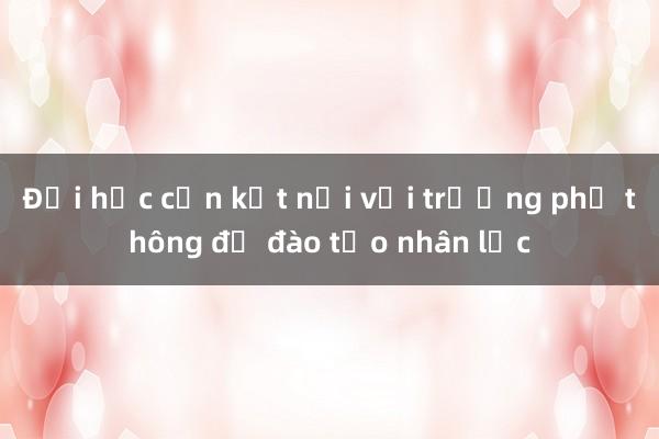 Đại học cần kết nối với trường phổ thông để đào tạo nhân lực