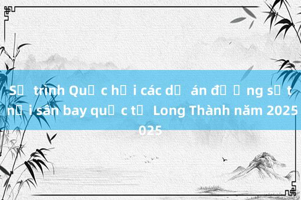 Sẽ trình Quốc hội các dự án đường sắt nối sân bay quốc tế Long Thành năm 2025