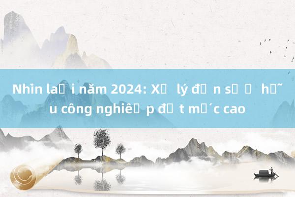 Nhìn lại năm 2024: Xử lý đơn sở hữu công nghiệp đạt mức cao