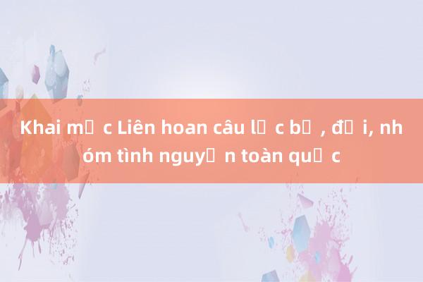 Khai mạc Liên hoan câu lạc bộ， đội， nhóm tình nguyện toàn quốc