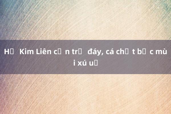 Hồ Kim Liên cạn trơ đáy， cá chết bốc mùi xú uế