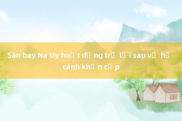 Sân bay Na Uy hoạt động trở lại sau vụ hạ cánh khẩn cấp